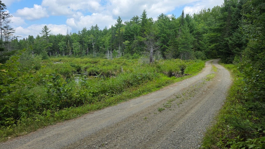 Picture 9