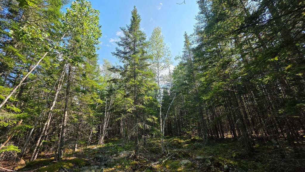Picture 27