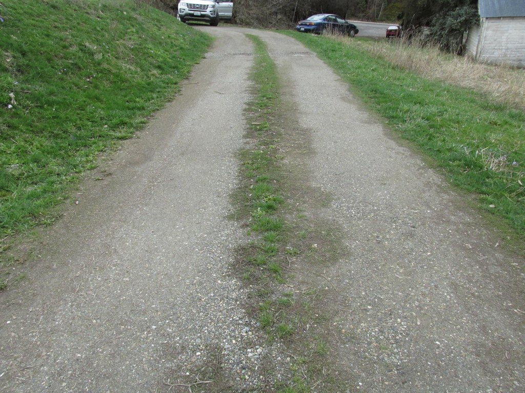 Picture 4