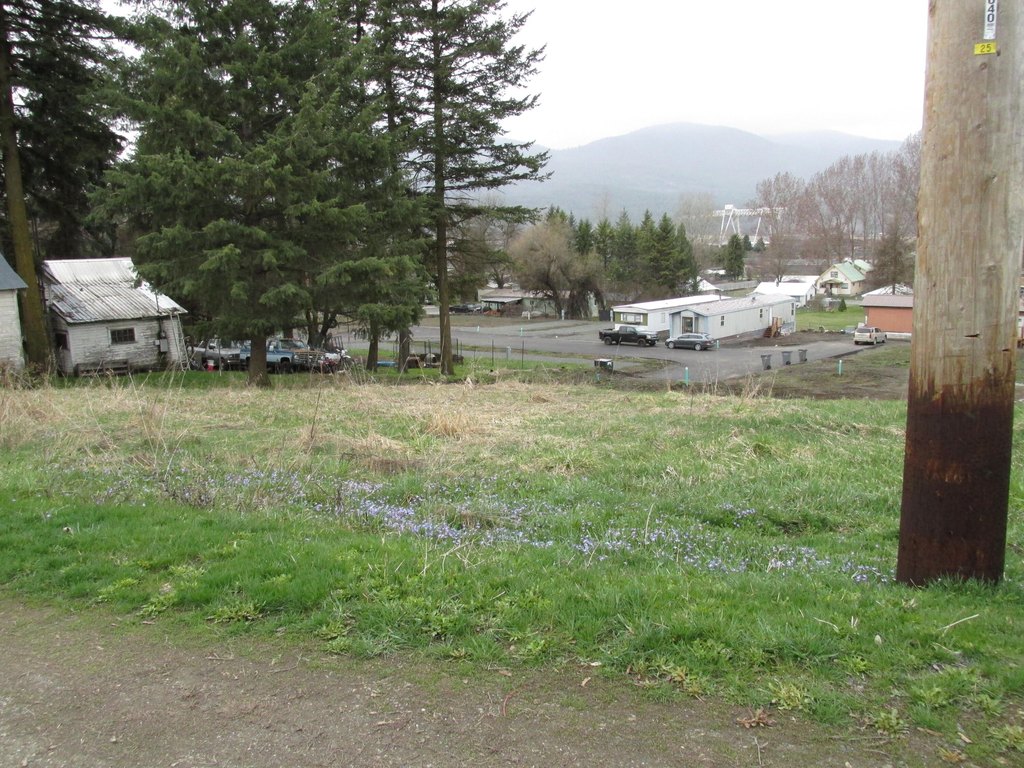 Picture 2