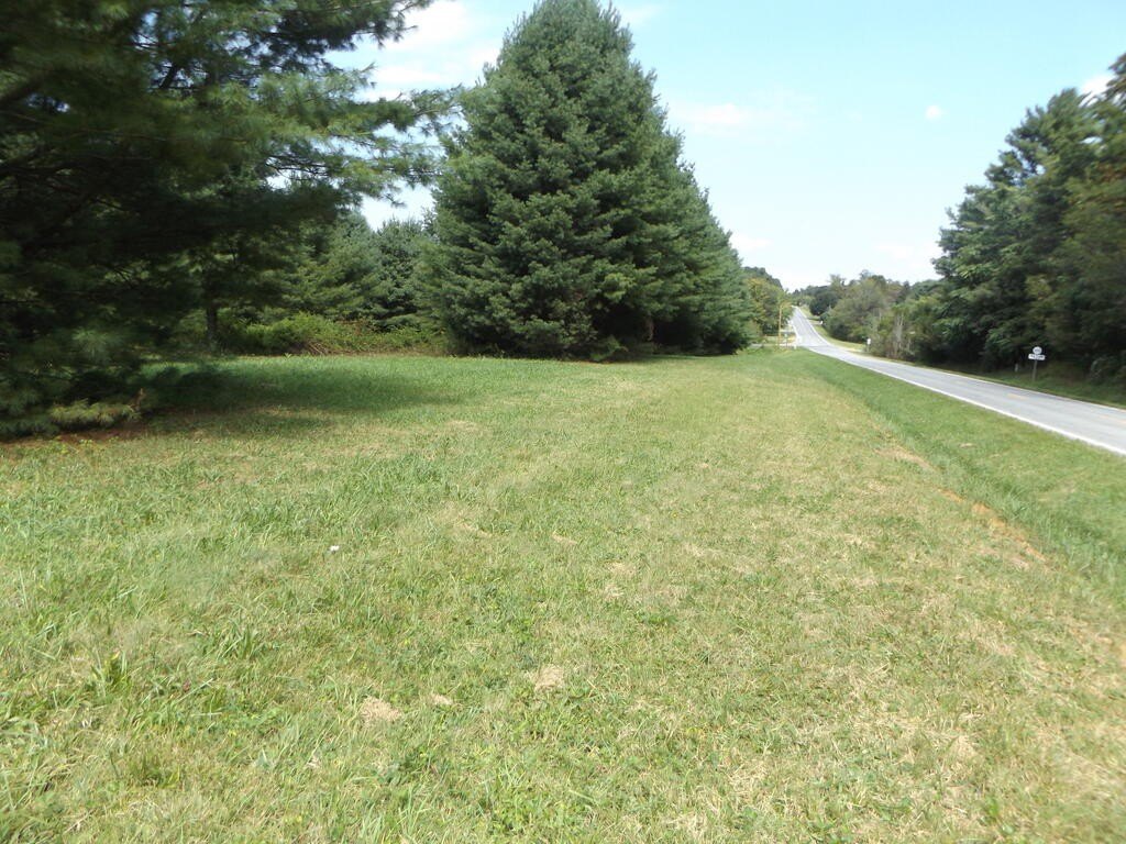 Picture 3