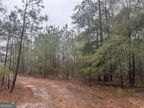 Pine Mountain Land For Sale