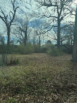 Residential Land Portfolio in Shreveport