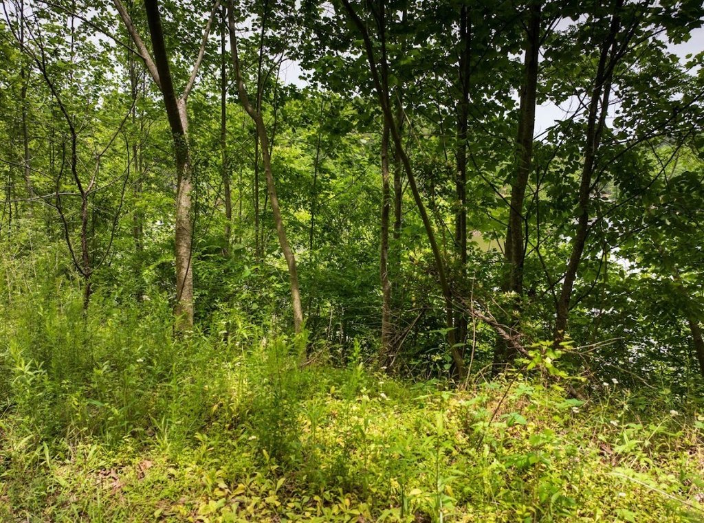 Picture 14