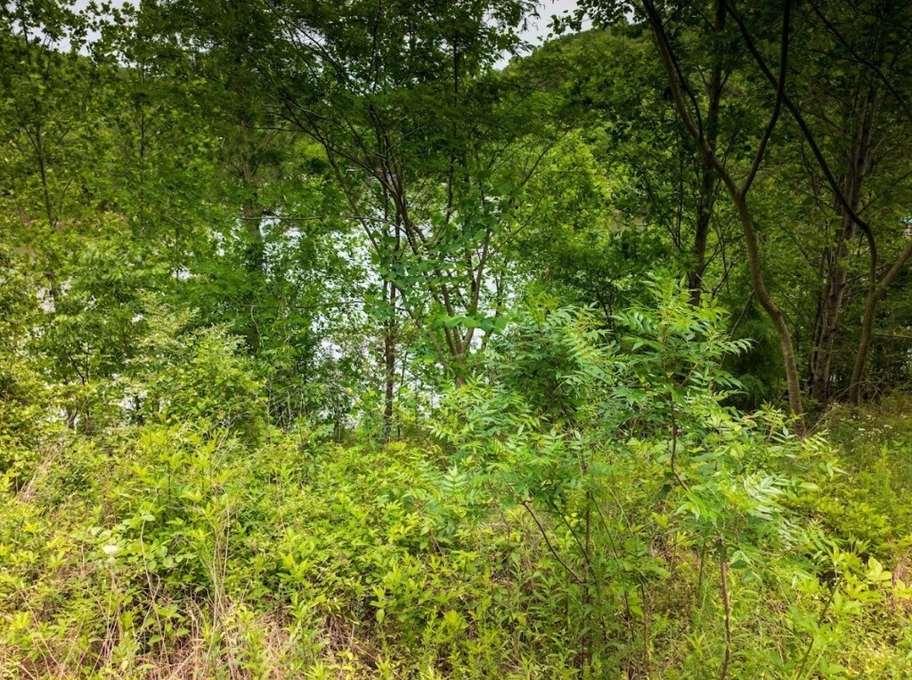 Picture 21