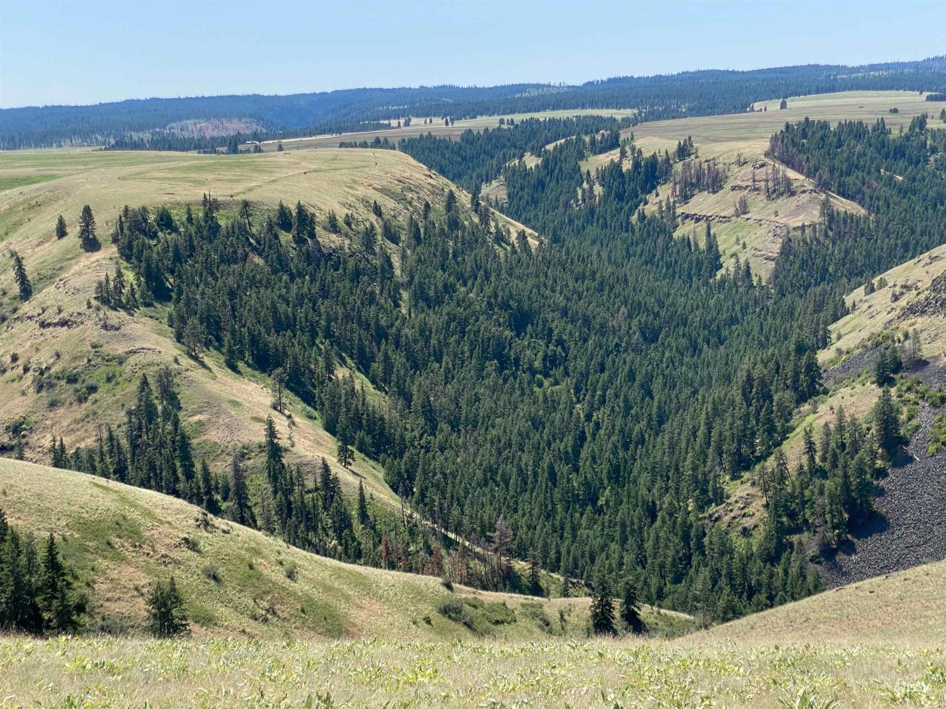 2067 Acres Near Umatilla Forest