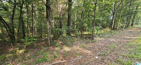 LAND - PELL CITY, AL