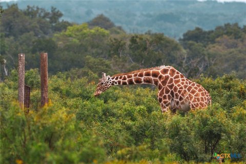 YO Ranch Land Opportunity