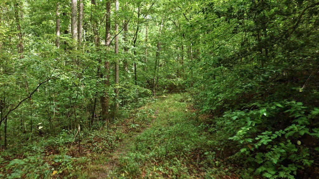 Picture 36