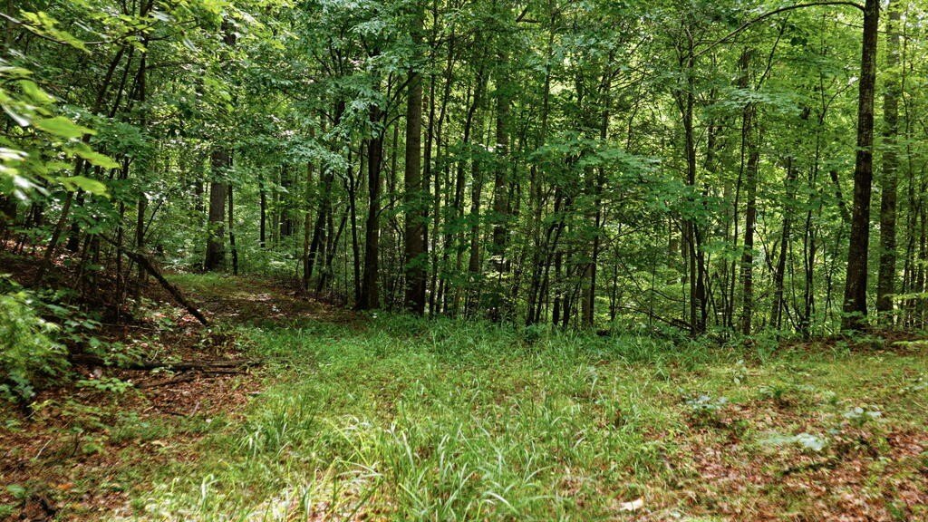Picture 12