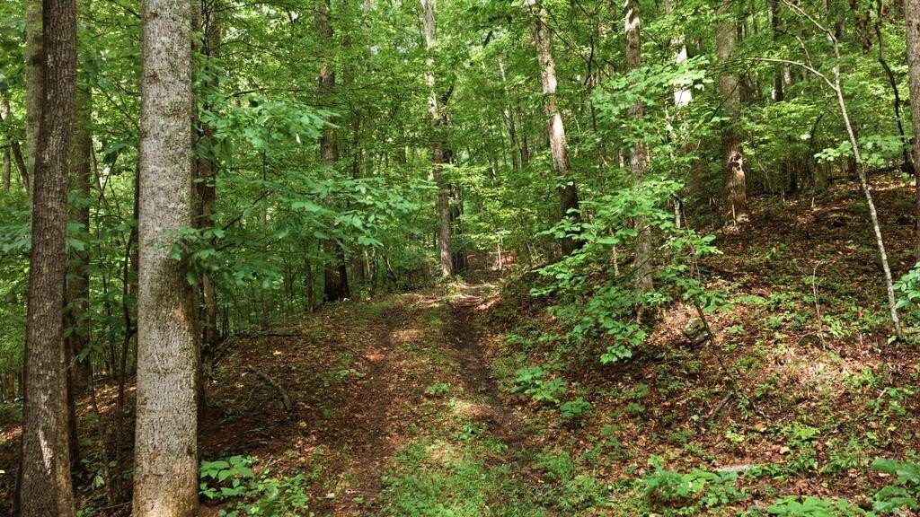 Picture 7