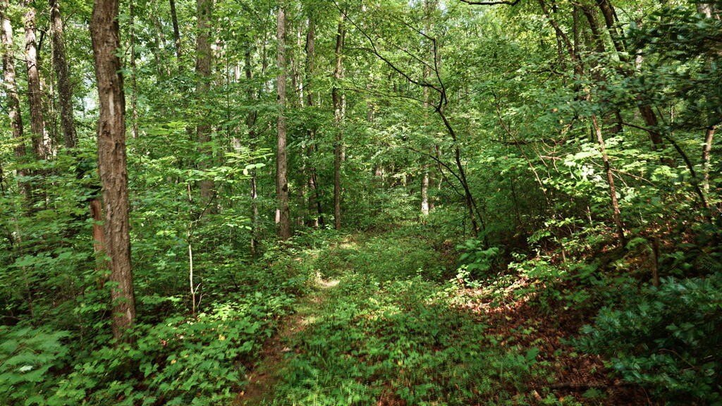 Picture 34