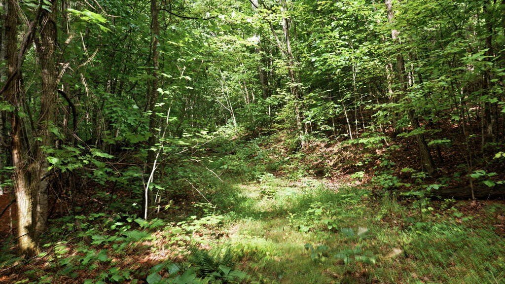 Picture 44