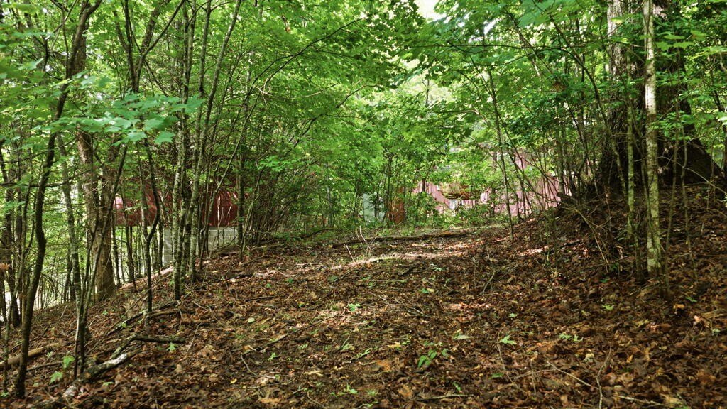 Picture 16