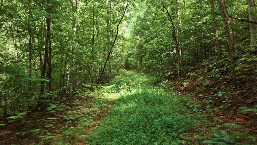 Picture 46