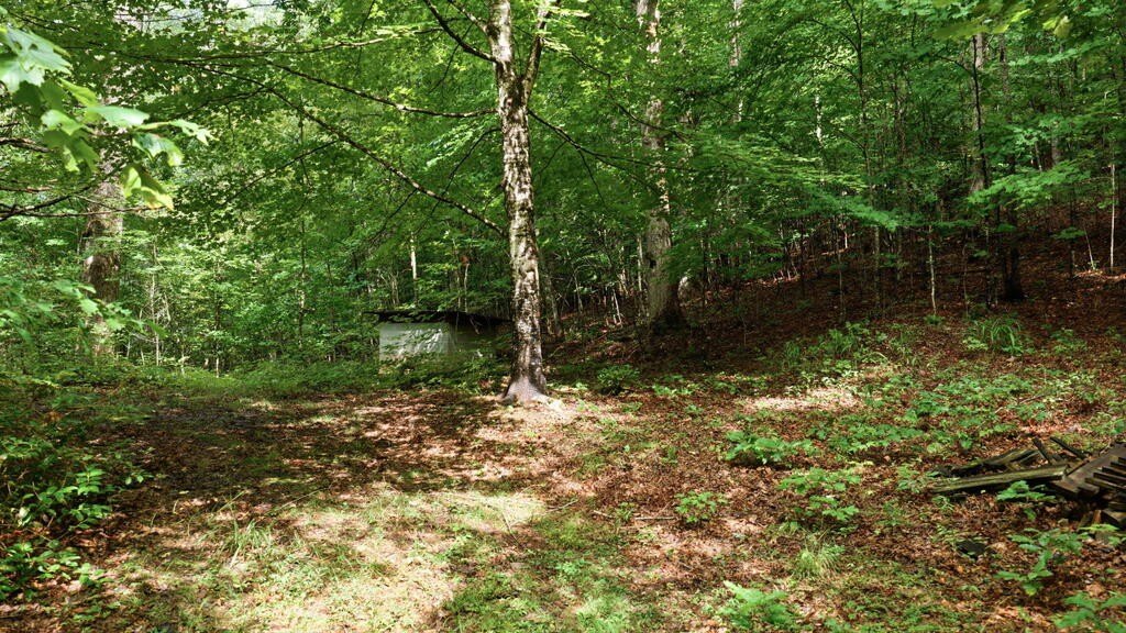 Picture 10