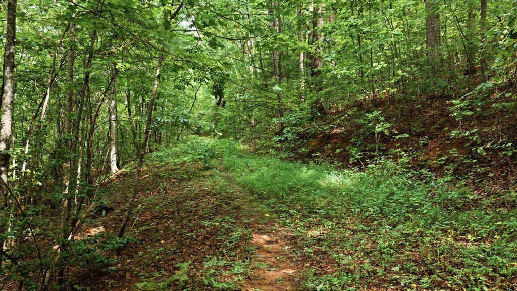 Picture 35