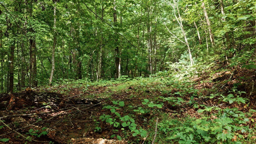 Picture 47