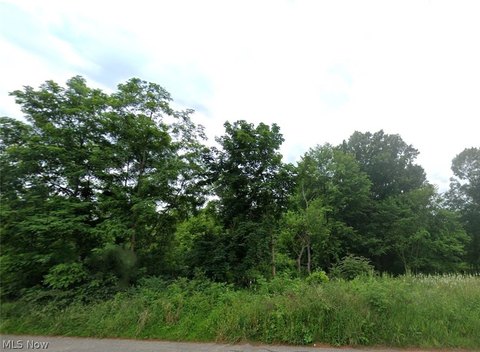 Buildable Lot in Massillon, OH