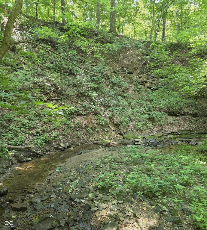 Picture 13