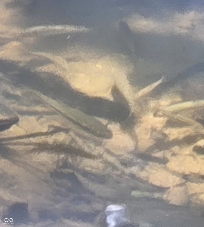 Picture 11