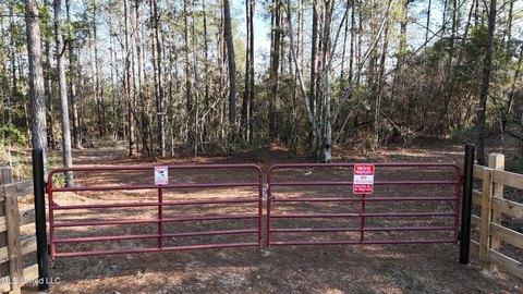 53 Acre Perkinston Land Parcel