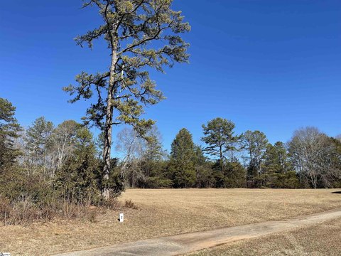 Acreage Homesite near US Hwy 29