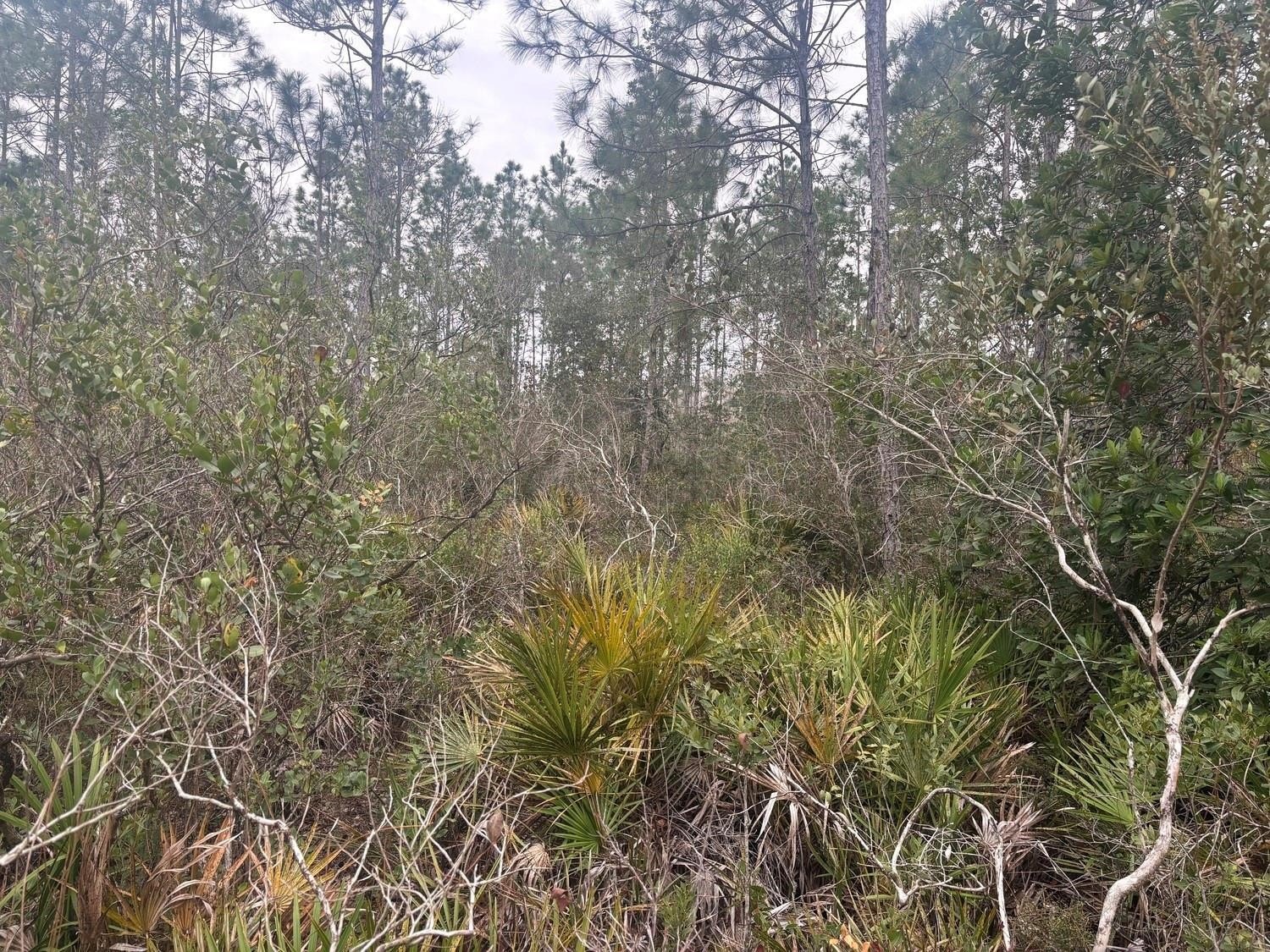 Polk City Acreage for Recreation