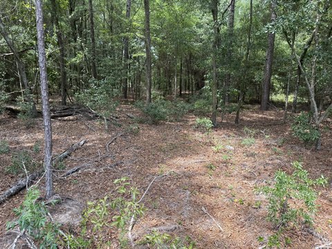 Wagener Land Parcel For Sale