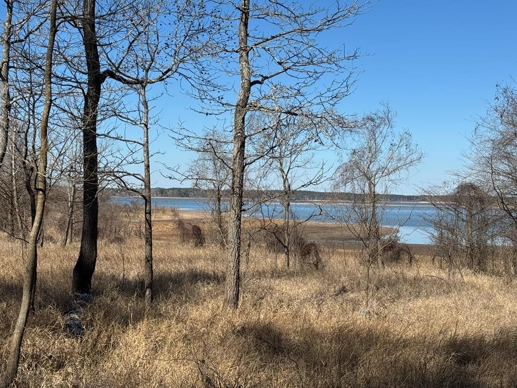 Waterfront Land on Lake Sam