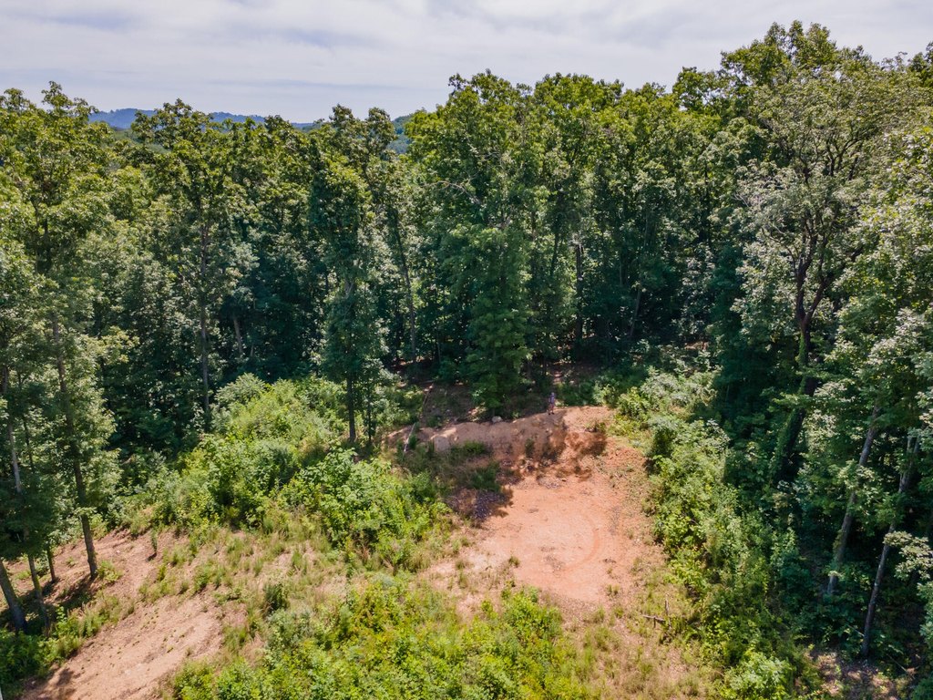 Picture 13
