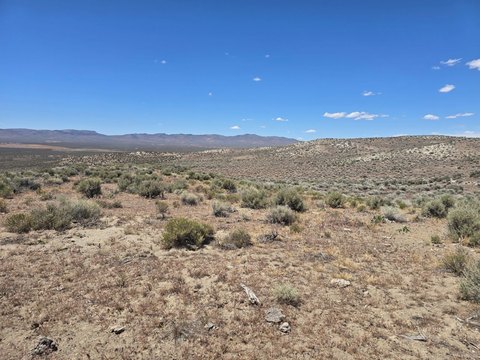 LAND - Ryndon, NV