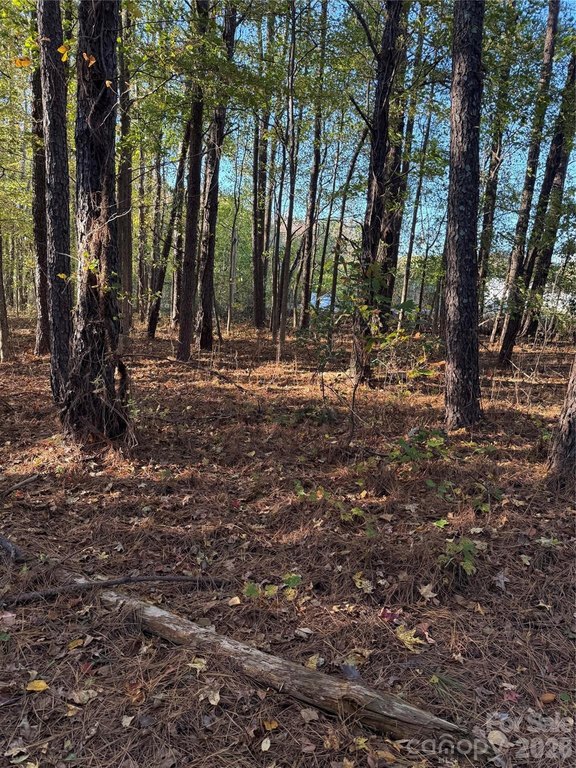 Picture 24