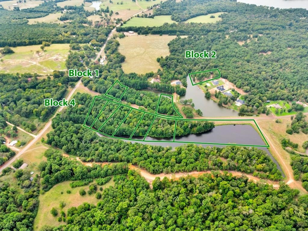 Picture 11