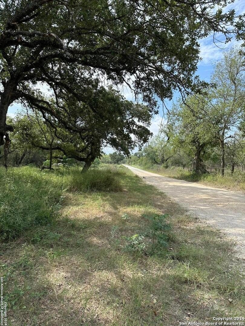 Land in Atascosa, Texas