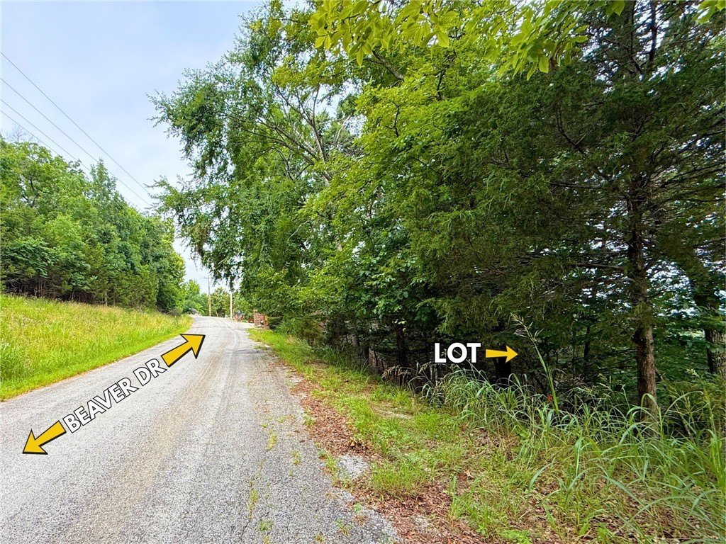 Picture 6