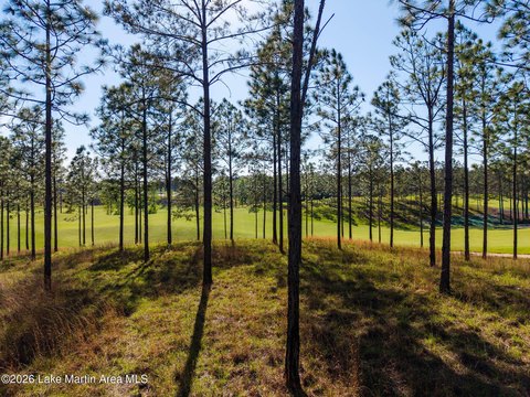 Interior Waterfront Homesite