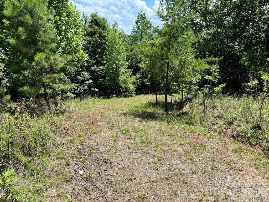 Picture 19