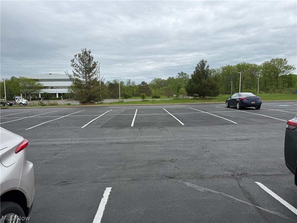 Picture 20
