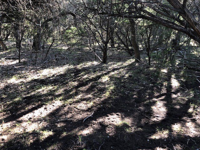 Picture 11