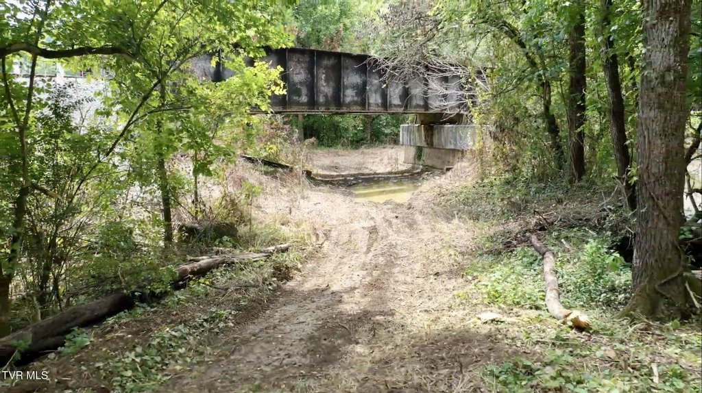 Picture 20