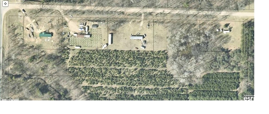 Picture 15