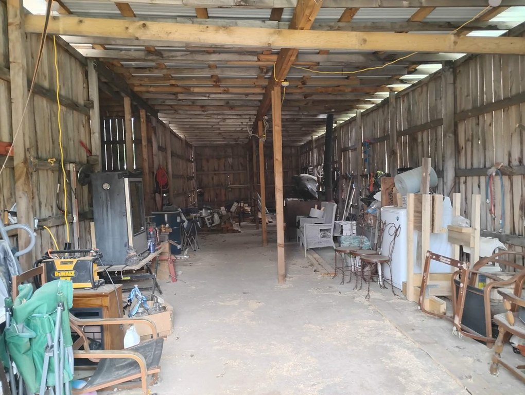 Picture 5