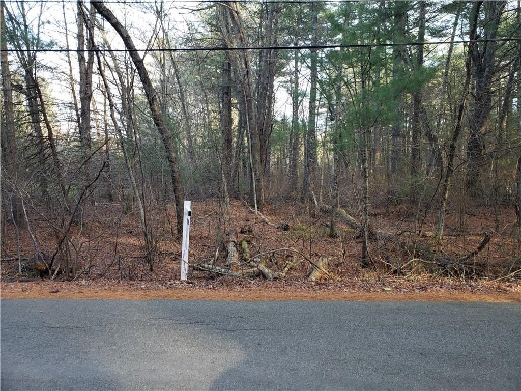 Picture 4