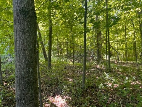 LAND - Woodville, WI