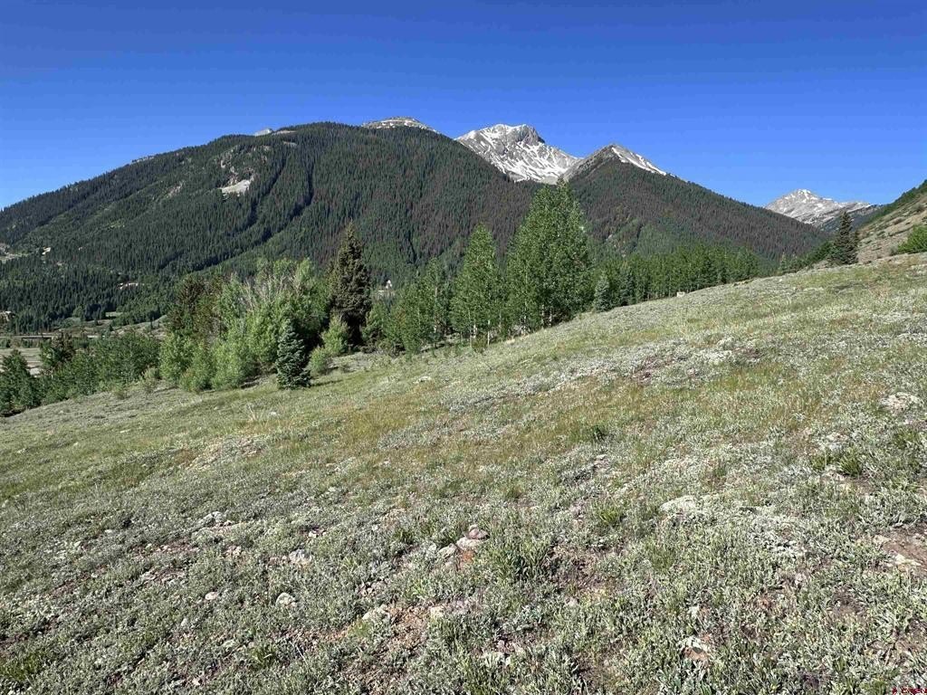 Picture 4
