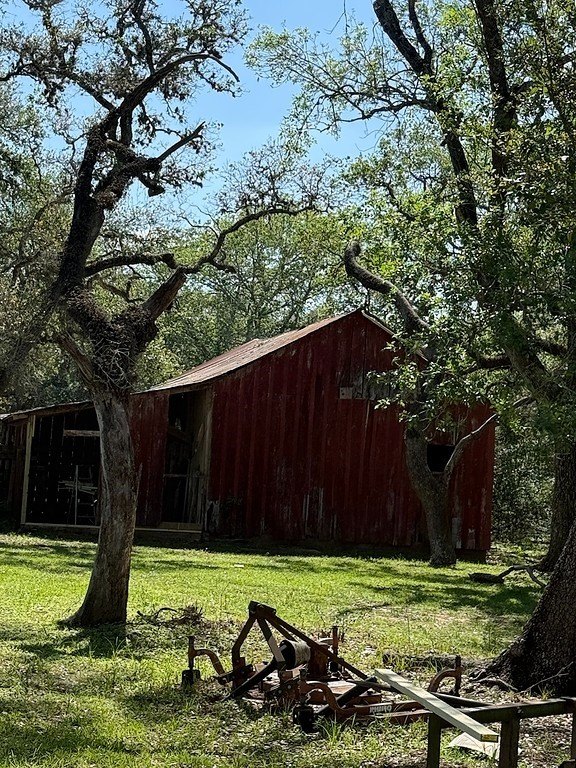Picture 8