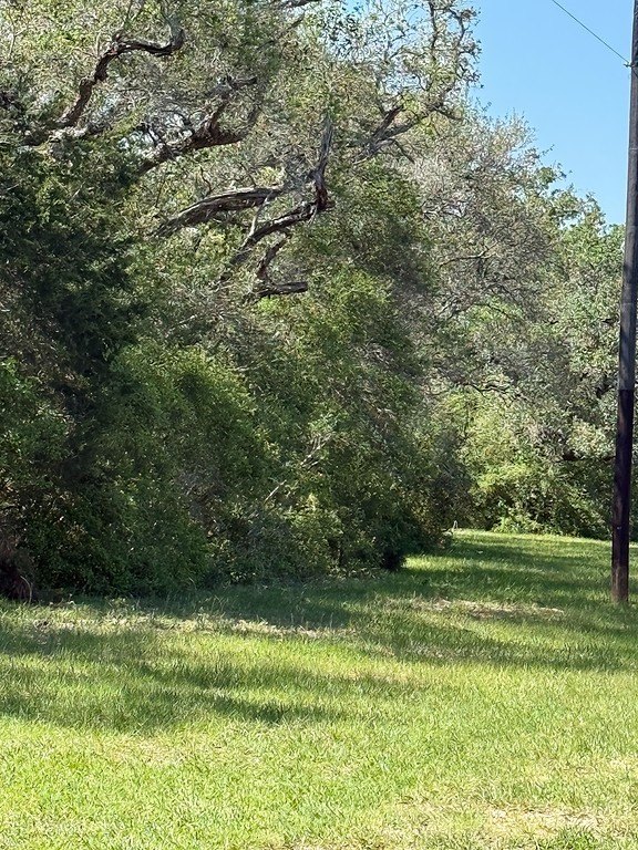 Picture 14