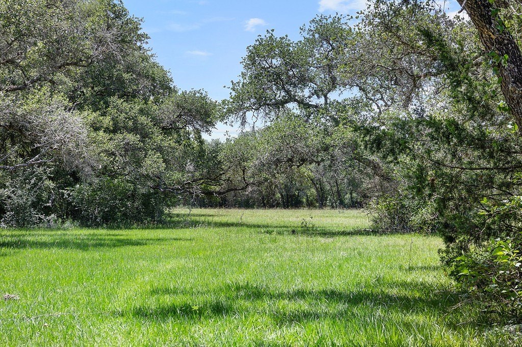 Picture 20