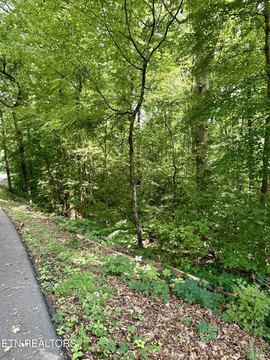 LAND - Sweetwater, TN